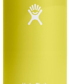 Hydro Flask 16 Oz Tallboy Koozie for Cans - Tall Can Cooler for Beer or Coffee - Insulated in Cactus