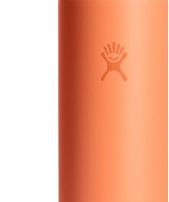 Hydro Flask Water Bottle - Insulated Stainless Steel - Straw Lid, Non Spill, Leakproof in 24 Oz Nectar Orange