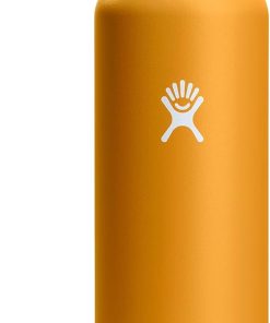 Hydro Flask Water Bottle - Insulated Stainless Steel - Non Spill, Leakproof in 24 Oz Fossil Brown
