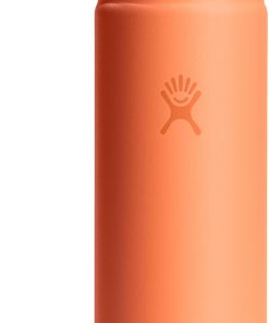 Hydro Flask Water Bottle - Insulated Stainless Steel - Wide Mouth Flex Chug Lid, Non Spill, Leakproof in 24 Oz Nectar Orange