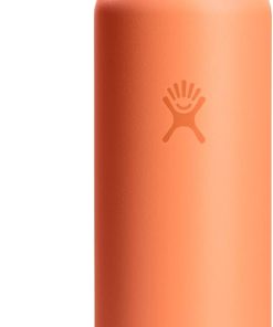 Hydro Flask Water Bottle - Insulated Stainless Steel - Non Spill, Leakproof in 24 Oz Nectar Orange